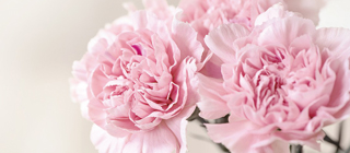 生花のご注文